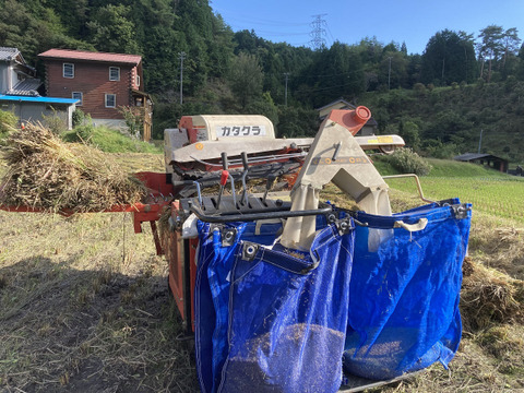 【自然栽培】あきたこまち玄米１０kg　農薬不使用・無肥料栽培　令和５年　岐阜県産