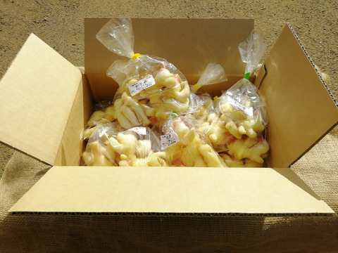 旬の味わいを☺️みずみずしく爽やかな香り❗留守農場の新生姜　1㎏