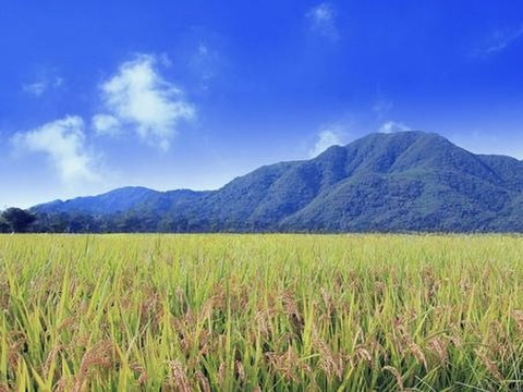 2026.R8 新米　九州米　福岡県産　ヒノヒカリ5kg