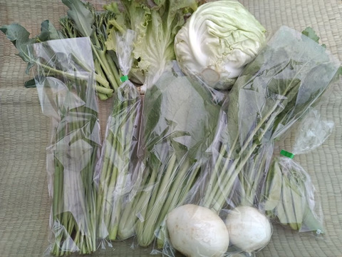 【始まりました！】旬の野菜セット８品目