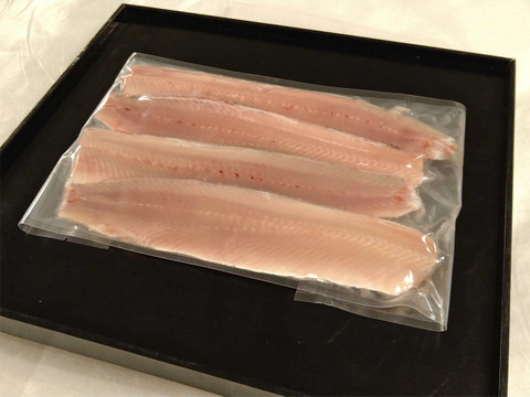 脂の乗り良し 大サイズ春ニシンお刺身用フィーレ 北海道産の魚 食べチョク 産地直送 産直 お取り寄せ通販 農家 漁師から旬の食材を直送