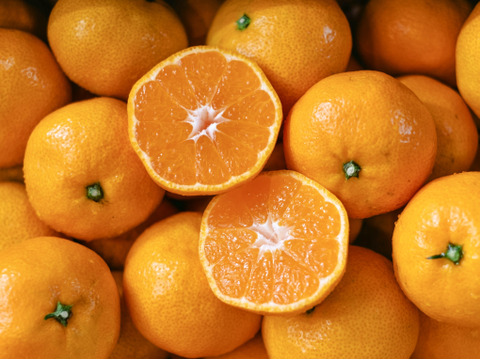 老舗農家が見極めたプレミアム【愛媛みかん3kg】【天皇杯受賞産地】愛媛県川上産 贈答用【冬ギフト】