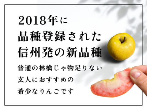 【幻の林檎】NEWすっぱい系！ なかののきらめき 3キロ箱 6玉〜15玉サイズ ID173708 長野県 信州 安曇野 リンゴ 幻 幻のリンゴ 予約 希少 旬
