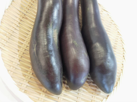 訳アリ品！ふわとろ長なす3kg
