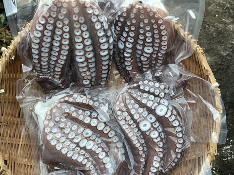 🌊 歴史と伝統が育む逸品！風間浦産「石だこ」（マダコ）　足4本×2パック
