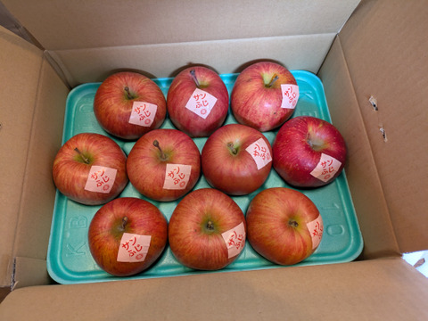 今でもパリパリ！！リンゴの王様『サンふじ』ご家庭用秀品約３kg　スマートフレッシュでもぎたて鮮度そのまま！