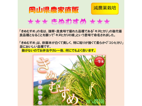 品種お任せ「ミルキークイーンorにこまるorヒノヒカリorきぬむすめ」岡山県産 精米 25kg（精米後22.5kg程度でのお届けとなります）