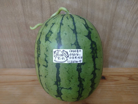 皮のふちまでシャリシャリ甘い！にしまるスイカ(小玉西瓜)　２玉入り(約４kg以上)