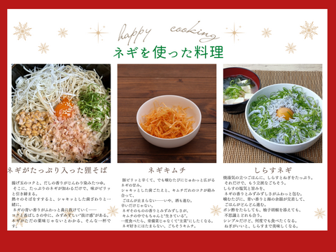 食費削減ネギ！規格外S～２L(5kg)