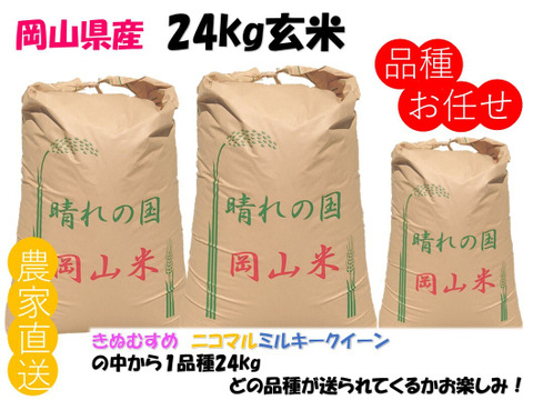 品種お任せ「ミルキークイーンorにこまるorきぬむすめ」岡山県産 玄米 24kg