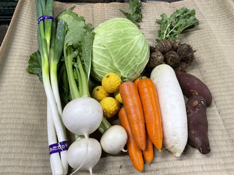 旬の野菜セット（冬野菜）