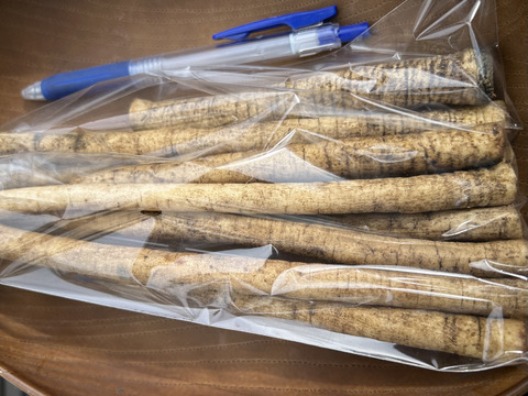 訳あり品【農薬・化学肥料不使用】MOA自然農法で育ったごぼう　1kg