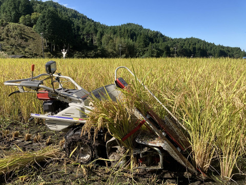 【自然栽培】あきたこまち玄米１０kg　農薬不使用・無肥料栽培　令和５年　岐阜県産