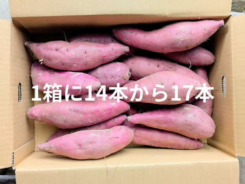 磐田の恵みネットリ甘い紅はるかL(10kg）