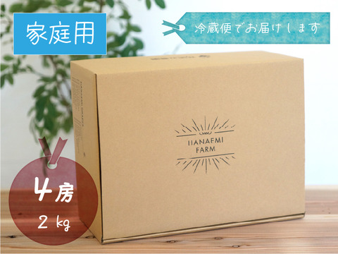花笑み農園　岡山のぶどう4種食べ比べ『シャイン＋厳選３種』約2kg（4房）家庭用【9/16～順次発送】4M-2家