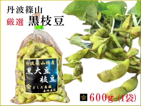 【令和8年黒枝豆・予約販売】丹波篠山 黒枝豆 600g( 1袋 )  産地直送 期間限定 贈答用にも最適 大粒 最高級 さや 枝豆 毎年完売 今しか味わえない 丹波篠山の黒枝豆 数量限定 丹波