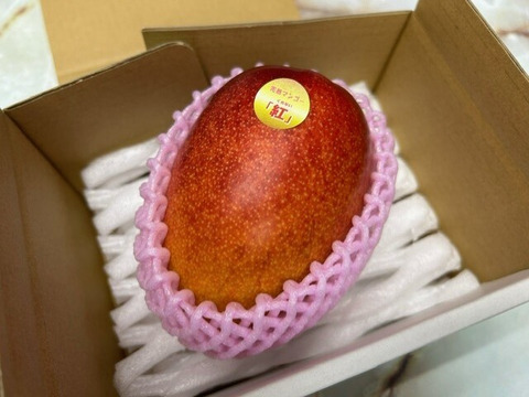 南国鹿児島産　完熟アップルマンゴー　1個～2個（約600g）