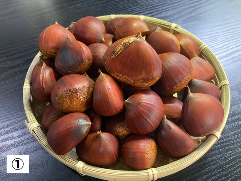 丹波栗 早生 「丹沢」 3L・4L混合サイズ 約1kg①（本州のみ）：京都府