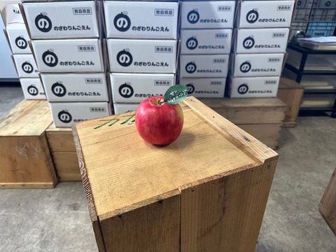 【福袋】 🍎贈り物大好評！ごほうび福箱3キロ🍎 ミックス 青森りんご 商品ID288331