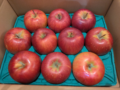 「シナノスイート」お徳用訳あり家庭用3キロ　まだまだ美味しい美味しさkeep！スマートフレッシュ鮮度保持貯蔵 10個から12個入り　甘くてジューシー　　ご好評販売中