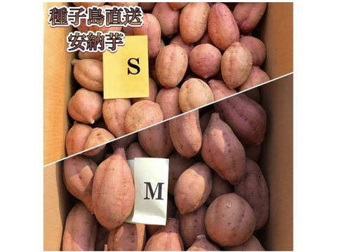 種子島産安納芋 S&M 混合サイズ 10kg｜甘くて濃厚🍠｜aimo農園直送