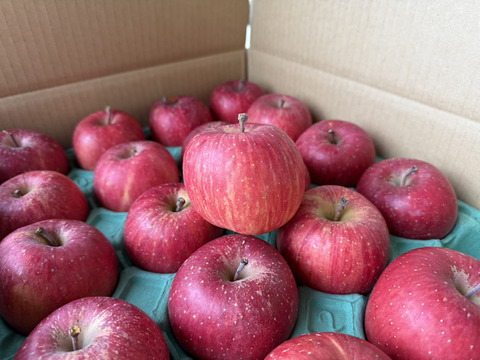 台湾でも高評価！【岩手・紫波長岡果樹園】🍎いわて産特別栽培「サンふじ」5kg（家庭用20玉）