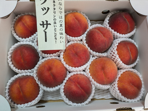 ワッサー　　信州ならではの桃　訳あり　ご家庭専用コース　3キロ　ただ今ご好評販売・順次発送中