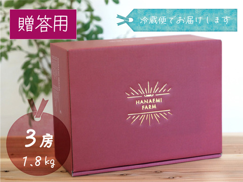花笑み農園　岡山のピオーネ＆シャインマスカット食べ比べ　1.8kg（3房）贈答用【9/18～順次発送】PS-2上