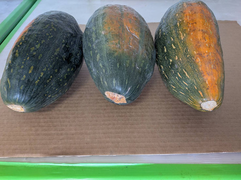 【サラダカボチャ】訳あり　有機JAS認証取得　万次郎かぼちゃ生まるごと（約6.3キロ）3個入