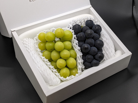 【プレミアム贈答】ナガノパープルとシャインマスカット （450g以上、合計２房 約950g）長野県認証/特別栽培同基準（信州の環境にやさしい農産物認証50）