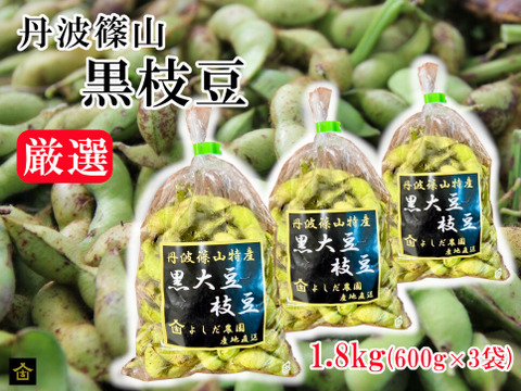 【専用】【訳あり】 兵庫県丹波篠山産 丹波黒豆 5kg 令和６年産 専用】【訳あり】 兵庫県丹波篠山産 丹波黒豆 5kg 令和6年産