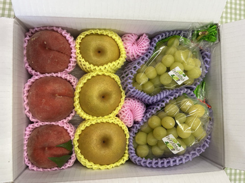 お買い得!まるせい果樹園の秋の味覚セット フルーツボックス
