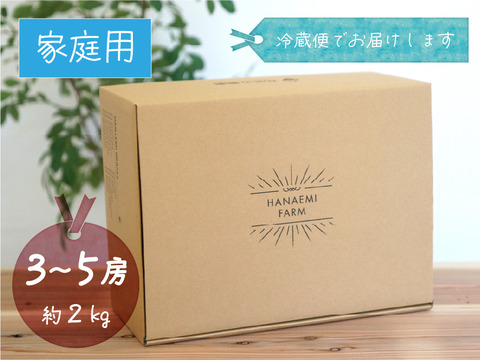 花笑み農園　岡山のシャインマスカット約２kg（３～５房）家庭用【9/23～順次発送】S-2家