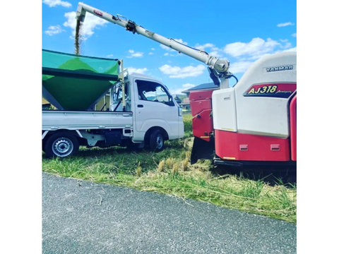 品種お任せ「ミルキークイーンorにこまるorヒノヒカリorきぬむすめ」岡山県産 精米 25kg（精米後22.5kg程度でのお届けとなります）