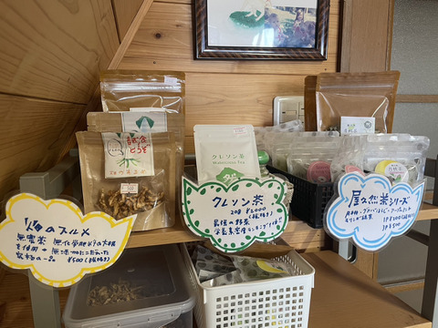 屋久島の湧水育ち！栄養素密度の最強野菜を日常に『屋久然クレソンパウダー』お得なパウチ15g