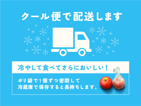 【人気爆発中！】シナノリップ3キロ箱 6玉〜15玉サイズ 商品ID41076 長野県 信州 安曇野 リンゴ 幻 幻のリンゴ 予約 希少 旬