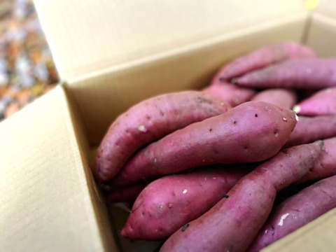 紅はるか🍠Sサイズ　4.5ｋｇ　茨城県産　新芋　【大豊作セール中‼】