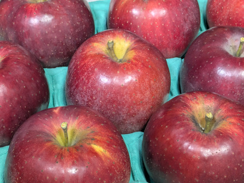 希少品種！すわっこ約3kg