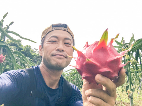 ハマるかも こだわり樹上完熟ドラゴンフルーツ 2kg 10月上旬発送予定 鹿児島県産の果物 食べチョク 産地直送 産直 お取り寄せ通販 農家 漁師から旬の食材を直送