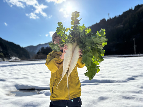 【無添加】【厚切り】切り干し大根へ　50
g×１０袋