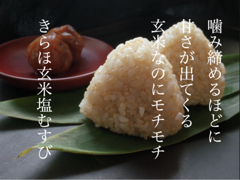 甘くてもっちり、冷めても美味しいお米「きらほ」 (玄米2kg×3袋)