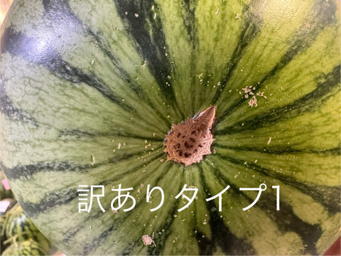 8/17収穫分【訳あり】糖度13-17以上【金色羅皇】『大里果樹園のスイカ』2L-3L