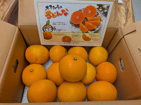 ☆農園1番人気☆ まどんな　家庭用2.5キロ