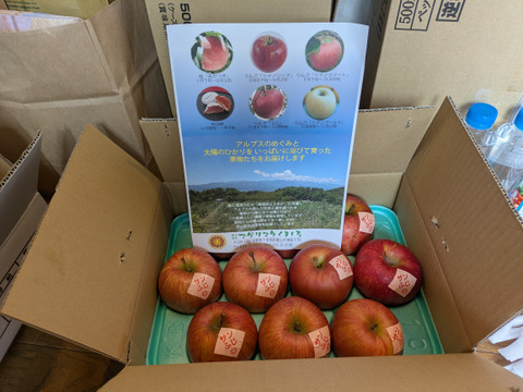 今でもパリパリ！！リンゴの王様『サンふじ』ご家庭用秀品約３kg　スマートフレッシュでもぎたて鮮度そのまま！