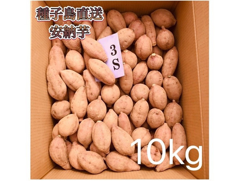 絶品】aimo農園｜安納芋 3Sサイズ 10kg(箱別)：鹿児島県産の安納紅