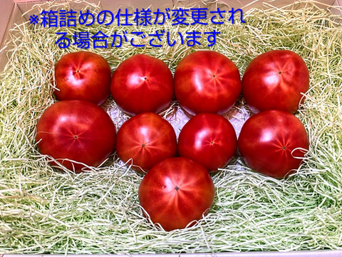 予約★平均糖度10度！★完熟★名水育ち★究極のフルーツトマト「海部川のしずく」800g(6〜20個)　品種は驚きの桃太郎！