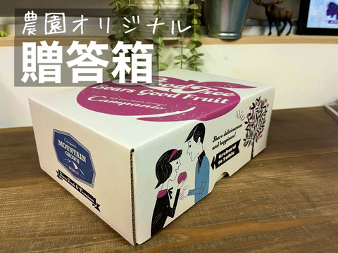 【9/5締切！】ラスト３０箱！【贈答用】【黄金桃】今シーズン最後にトロピカルな桃を！贈答 ５～６玉