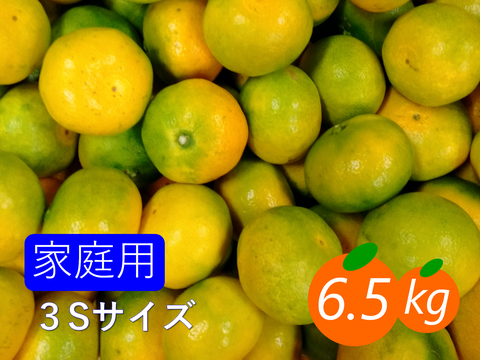 【家庭用/3S】極早生みかん 6.5kg 甘さたっぷり!ひとくちサイズ!!