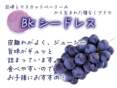 花笑み農園　岡山の訳ありBKシードレス１kg【9/14～順次発送】WB-1