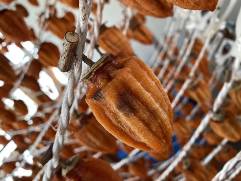 訳あり!まるせい果樹園のあんぽ柿（干し柿）200㌘×5パック af1